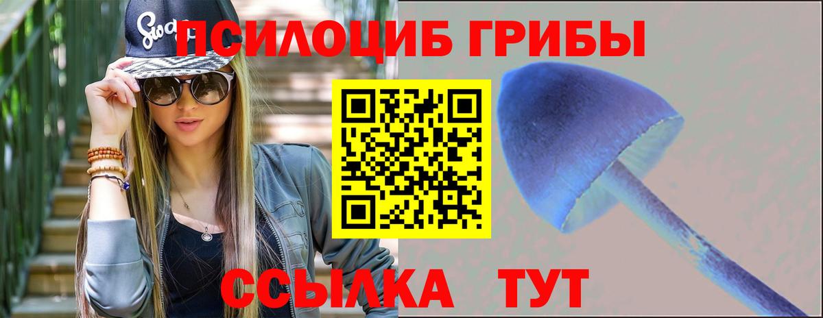 Острогожск  Галлюциногенные грибы мицелий  Галлюциногенные грибы GOLDEN TEACHER  Вход с VPN 